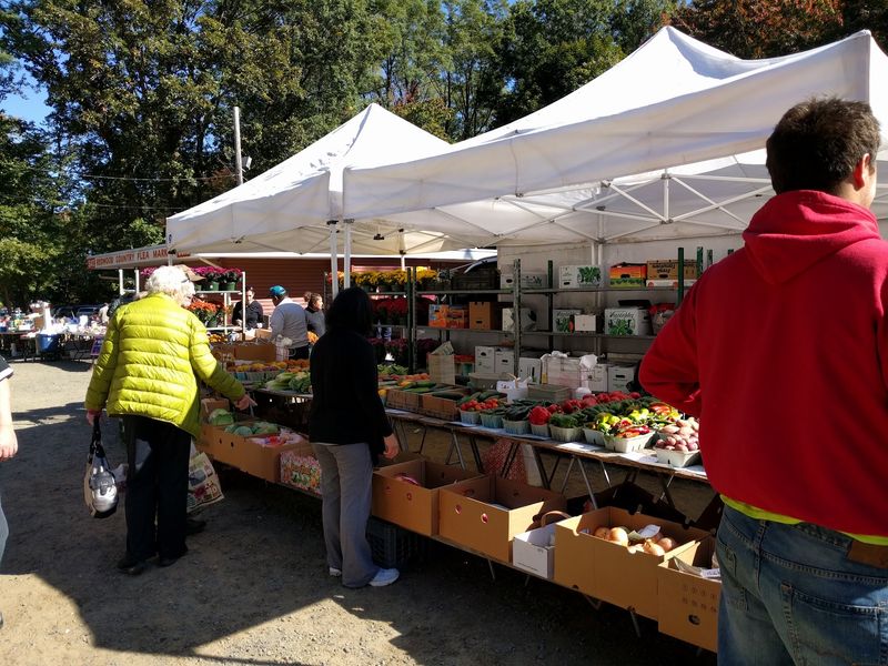 Fresh Air and Fast Deals at Redwood Country Flea Market