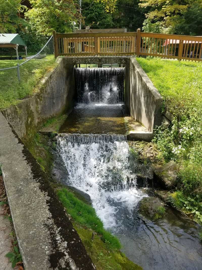 Beulah Springs Falls Trail - McGregor