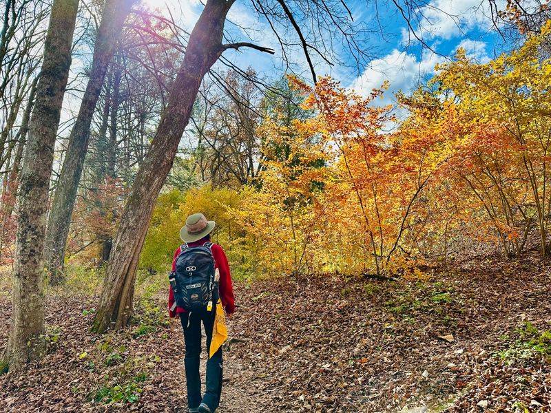 Leave The Crowds Behind Without Going Far From Town