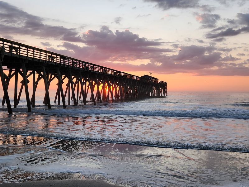 Myrtle Beach State Park, Myrtle Beach, Horry County