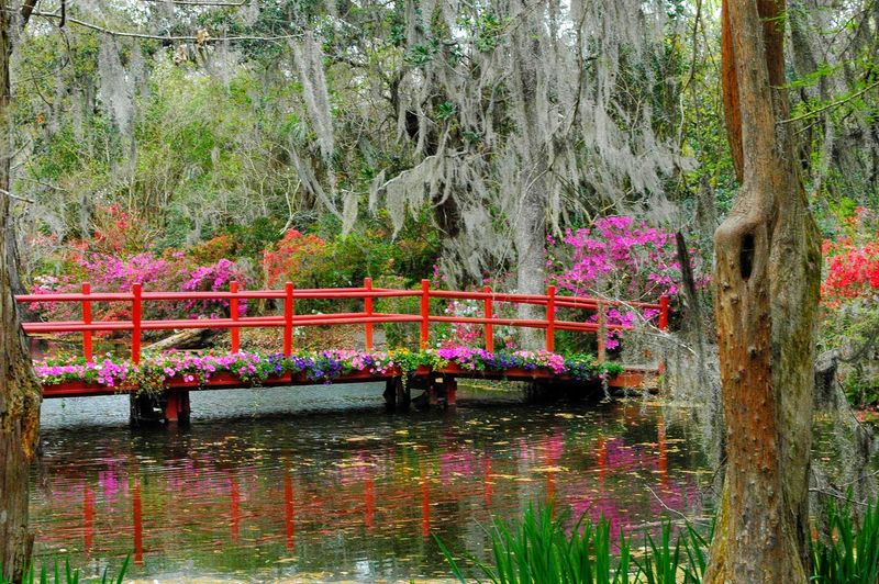 Magnolia Plantation & Gardens