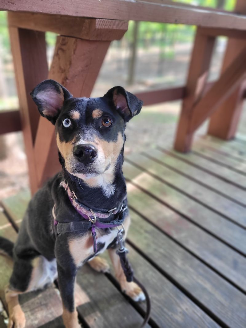 Wildwood Park, Marietta, Cobb County
