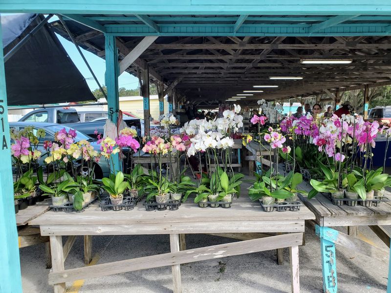 Shop For Fresh Produce, Plants, And Food