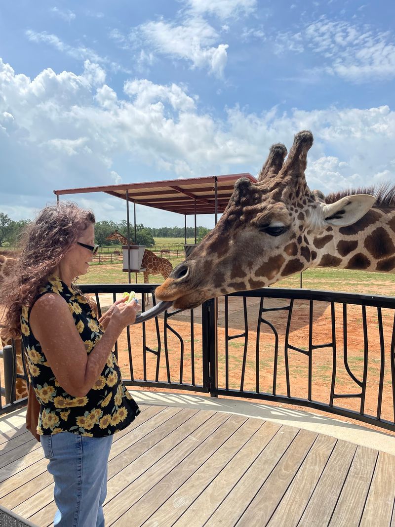 Exotic Resort Zoo in Johnson City, Blanco County