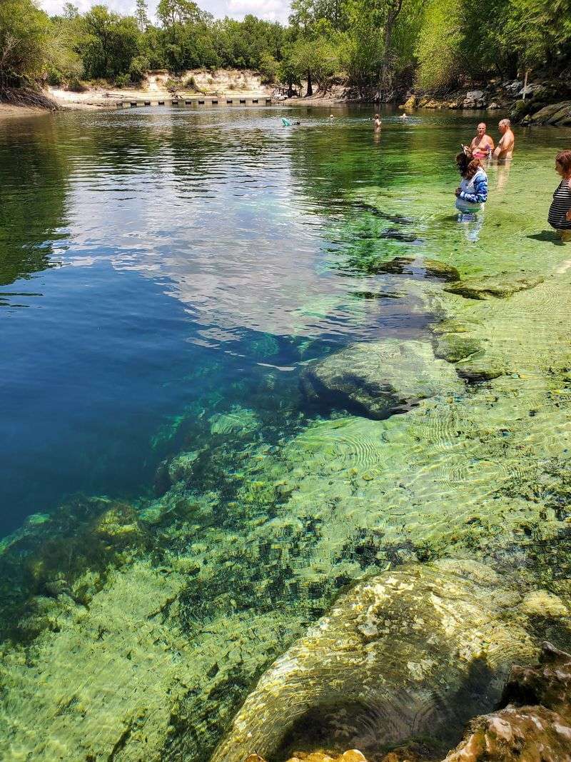 Go Swimming and Snorkeling at Troy Spring State Park in Branford