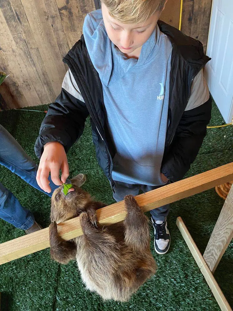 A Quieter Kind of Farm Visit at Traveling Acres Petting Zoo