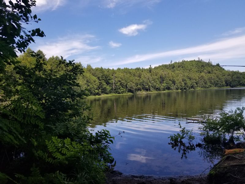 Lake of the Clouds in Porcupine Mountains, Ontonagon County