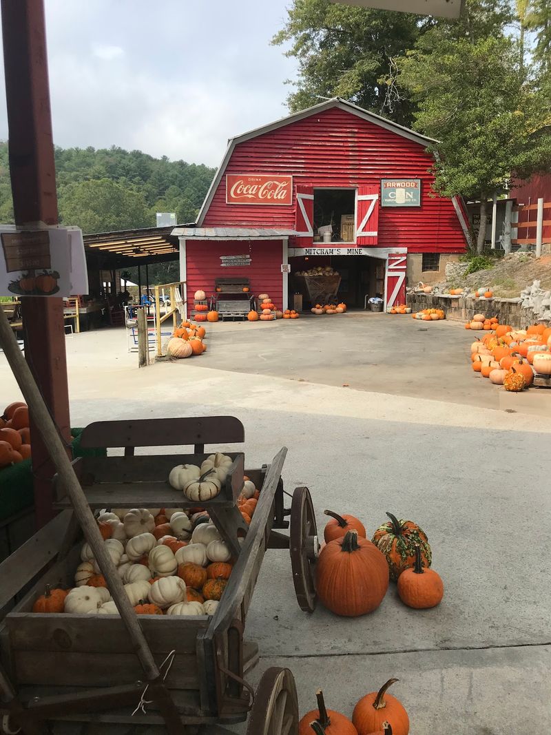 Panther Creek Orchards, Tiger, Rabun County