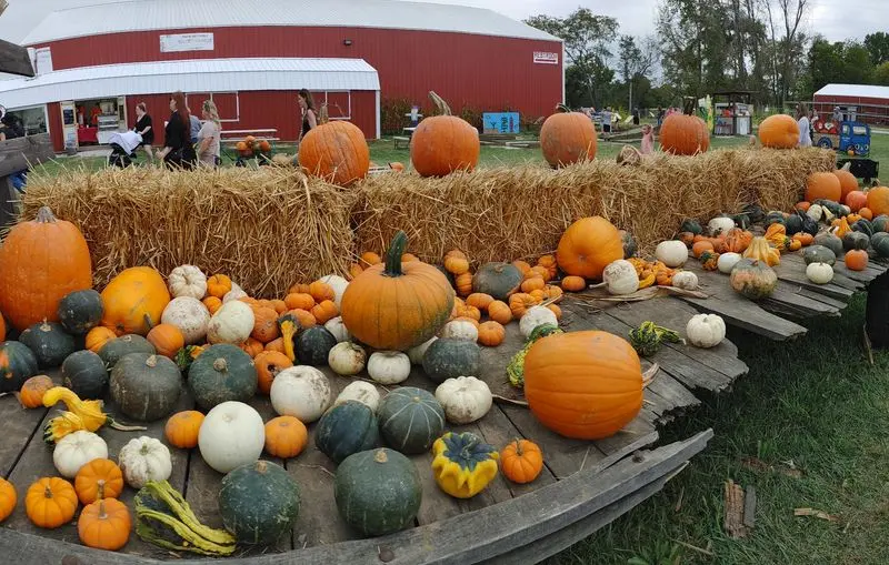 Van Buren Acres in Hebron