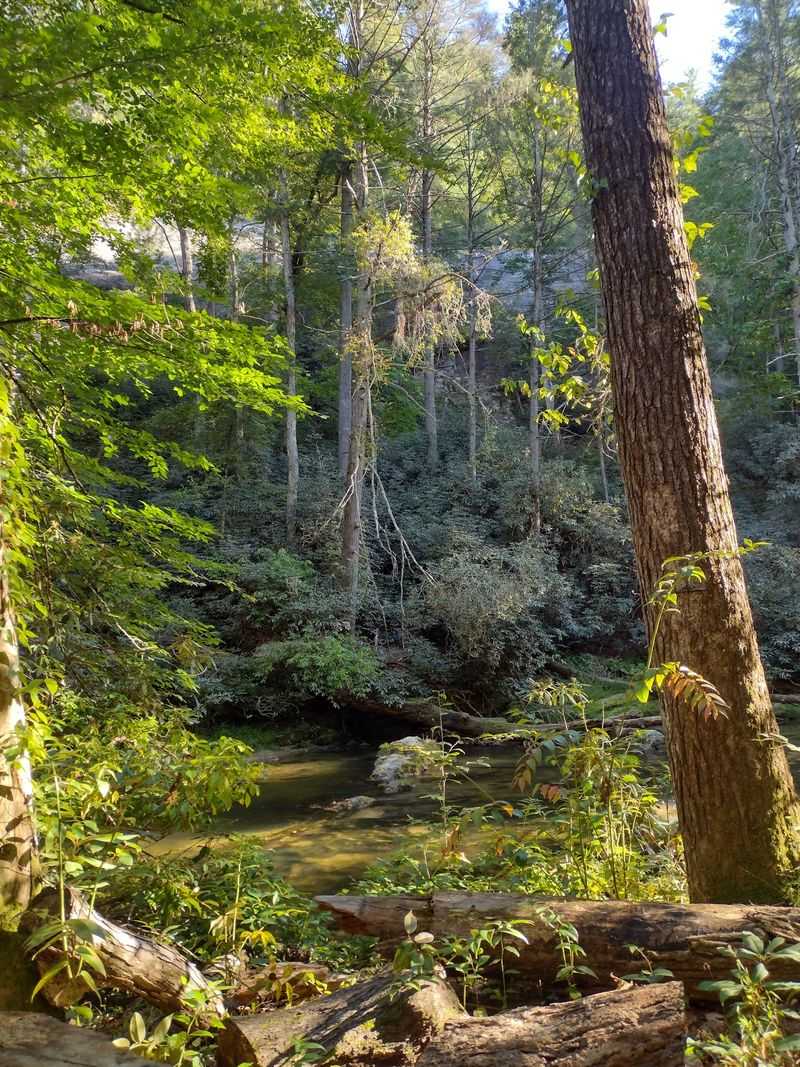 Eastatoe Creek Heritage Preserve Trail, Sunset, Pickens County