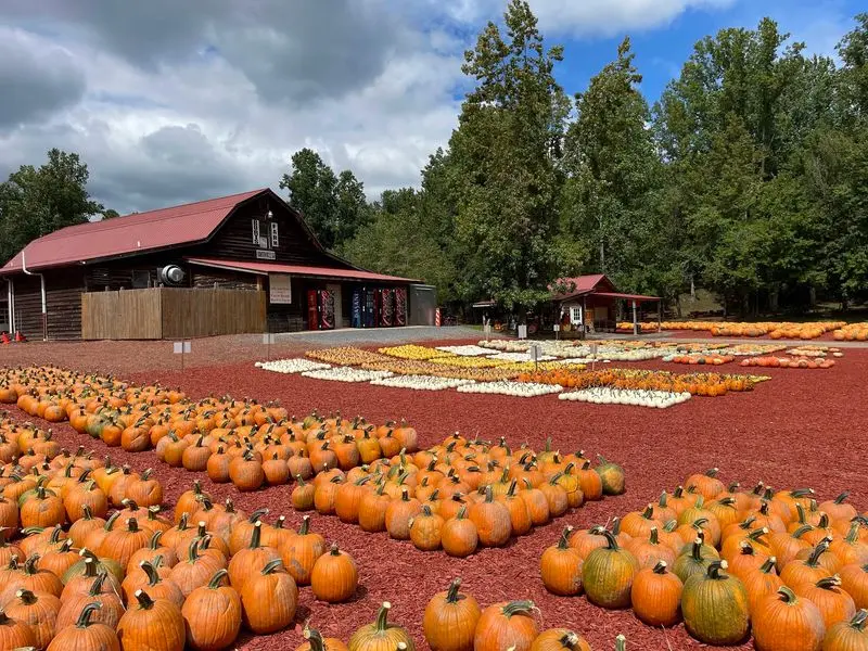 Burt's Farm, Dawsonville, Dawson County