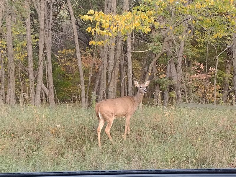 Trails, Wildlife, and Quiet Corners Ashore