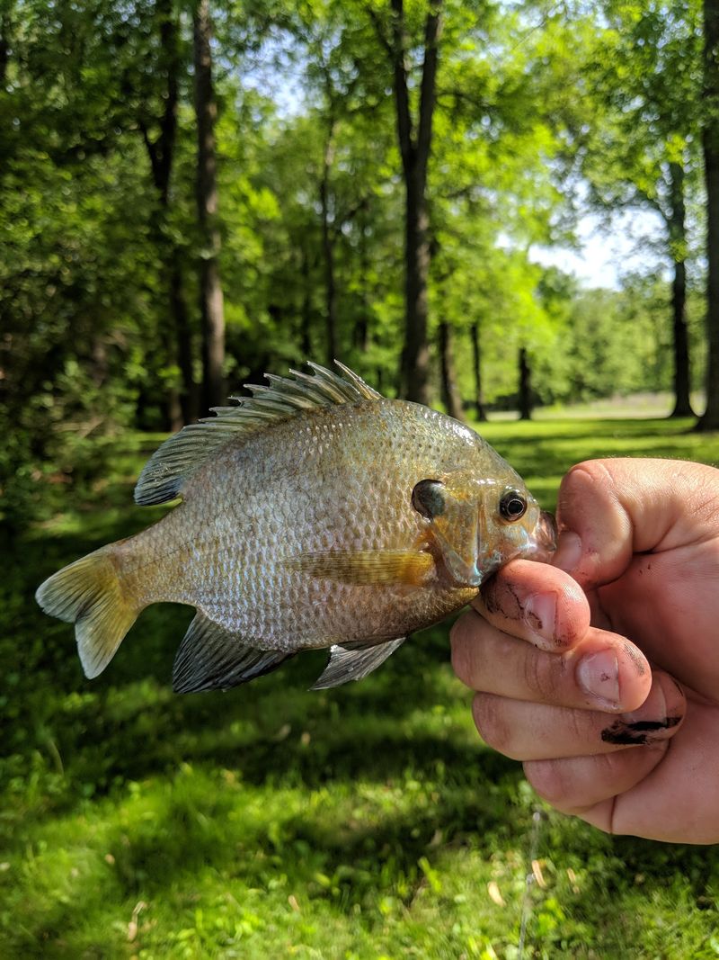 Fishing Spots Without A Big-Boat Fuss