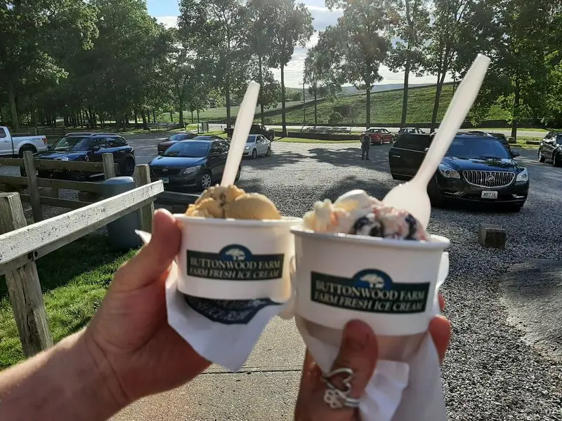 Sunflowers, Scoops, and Farm Magic - Buttonwood Farm Ice Cream in Griswold, New London County