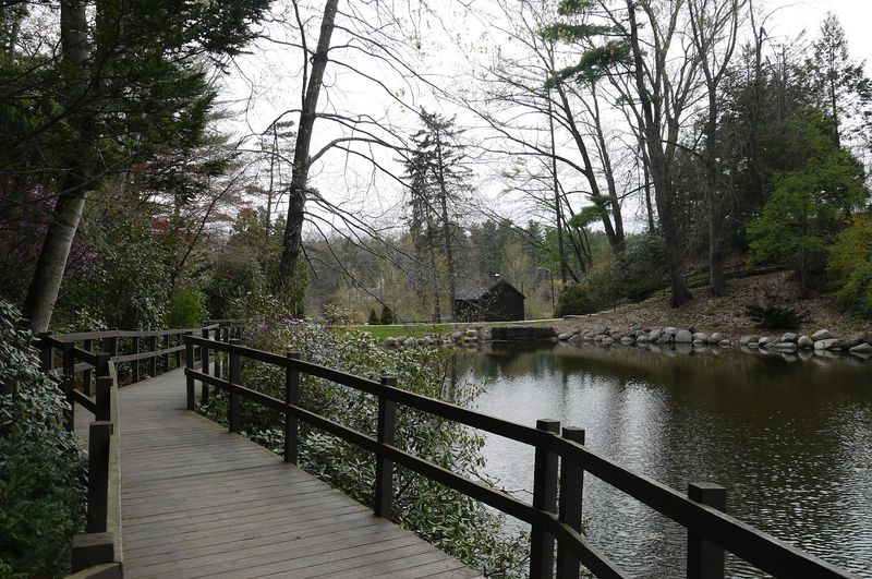 Columbia Greenway Rail Trail - Westfield