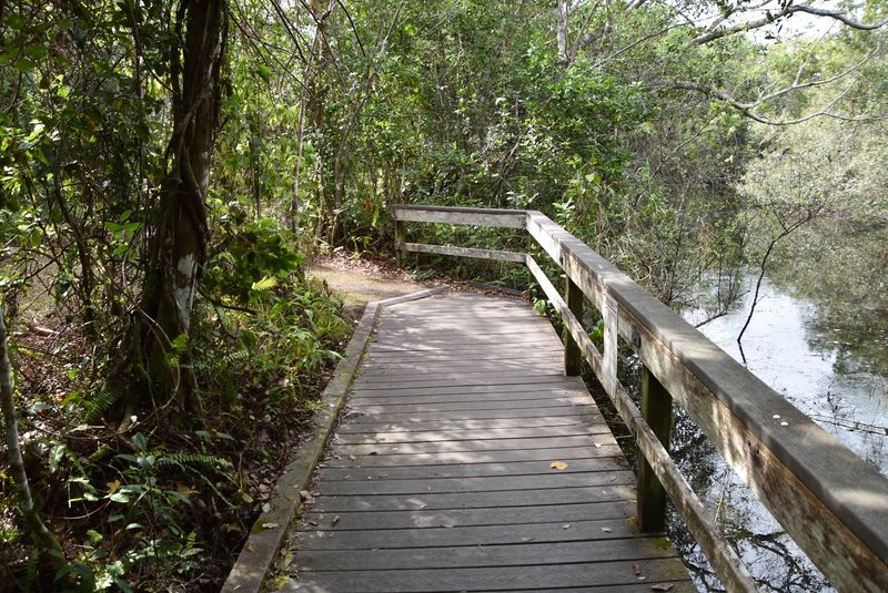 Gumbo Limbo Trail - Homestead