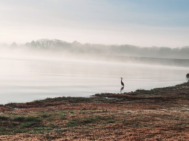Lake Fork - Quitman