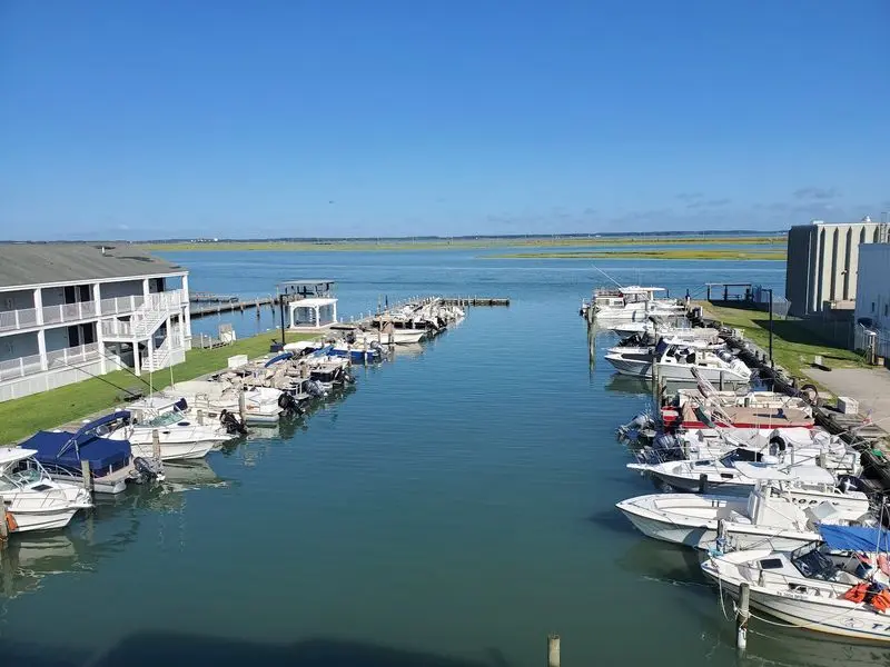 Chincoteague - The Island Getaway Where Wild Ponies Roam