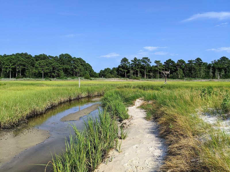 James Farm Ecological Preserve - Ocean View