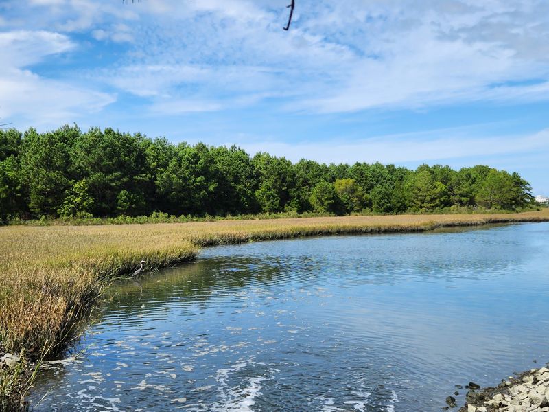 Fresh Pond Trail - Bethany Beach