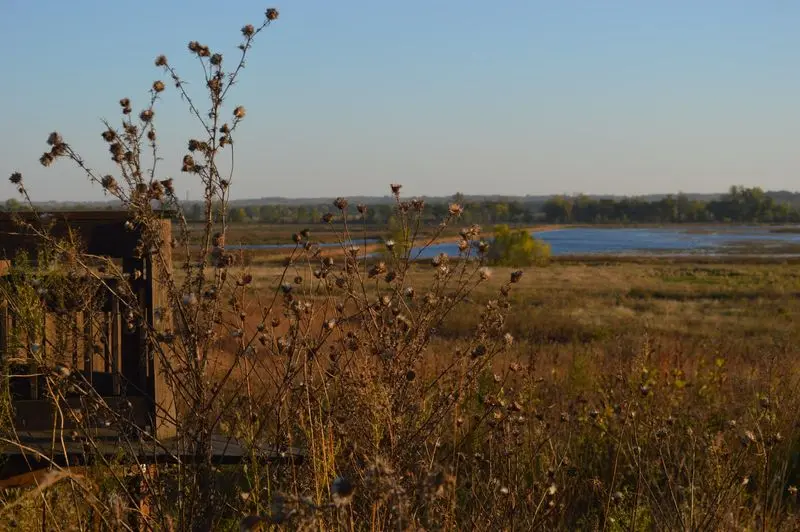 Otter Creek Marsh Wildlife Management Area in Chelsea, Tama County,