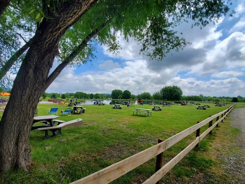 Great Country Farms - Bluemont