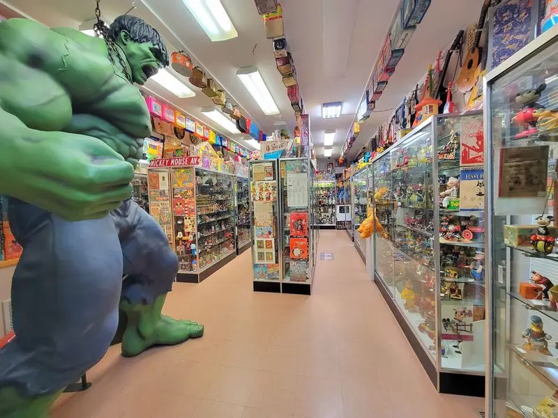 Wall-to-Wall Displays That Reward Slow Looking