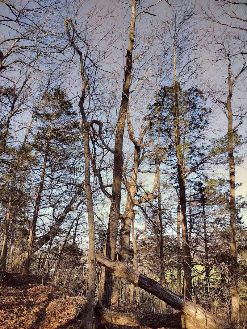 Fountain Trail, Grottoes, Augusta County