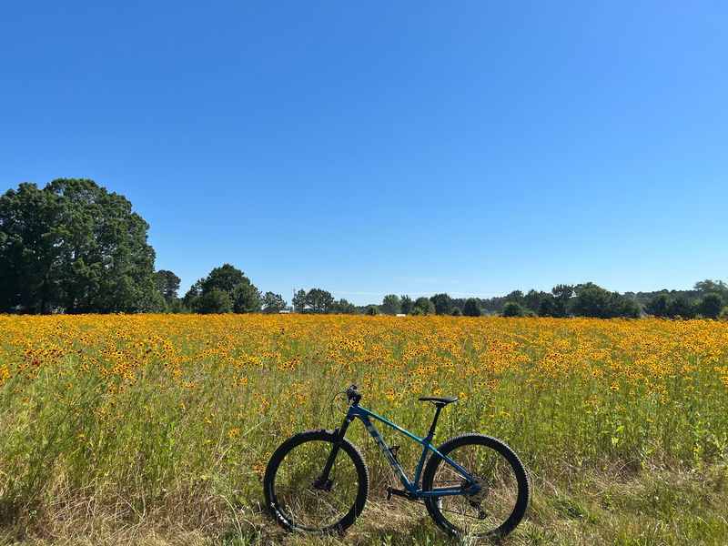 Inspiration Trail in Raleigh, Wake County,