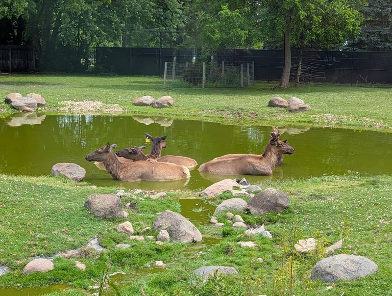 Menominee Park & Zoo - Oshkosh