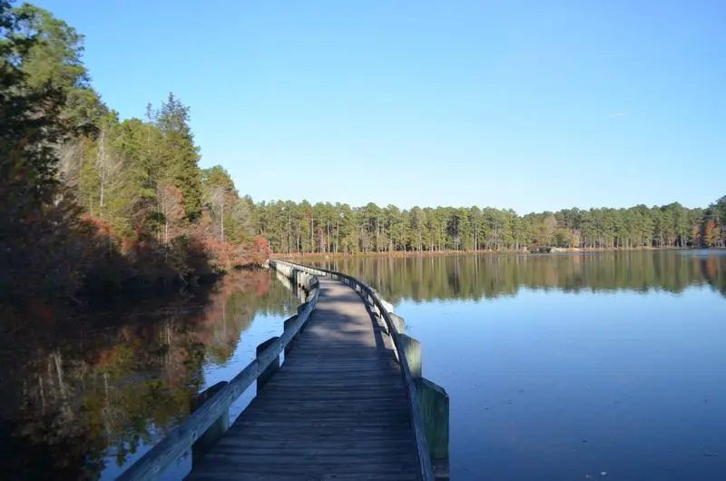 Lake Juniper at Cheraw State Park - Cheraw
