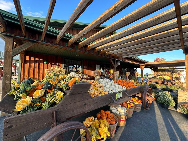 Basse's Farms - Colgate