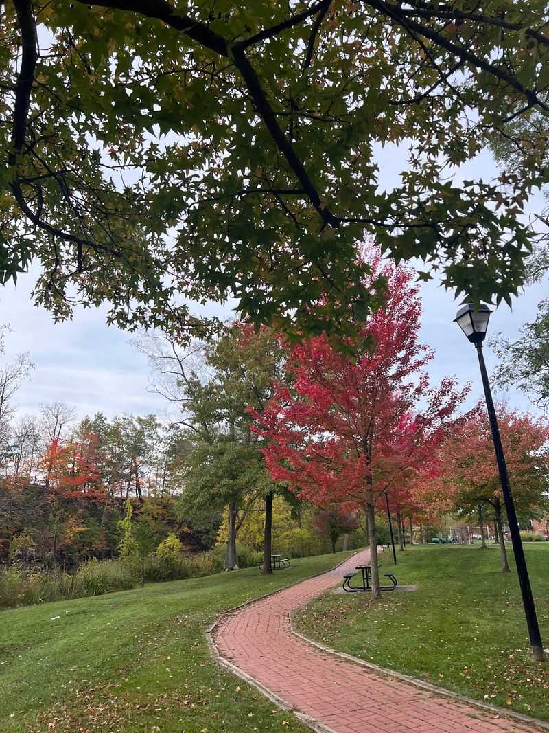 Riverside Park - Green Space Along The Chagrin River
