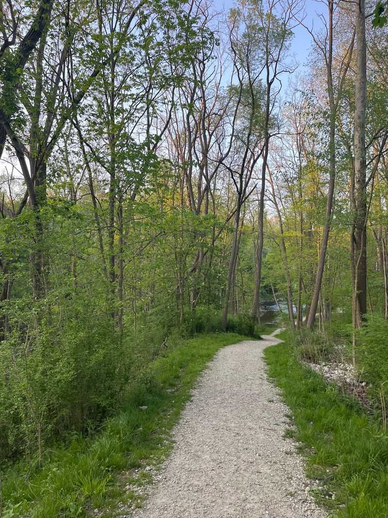 Vincent Street Trail & Ben King Memorial Arboretum - A Leafy Walk Near Downtown