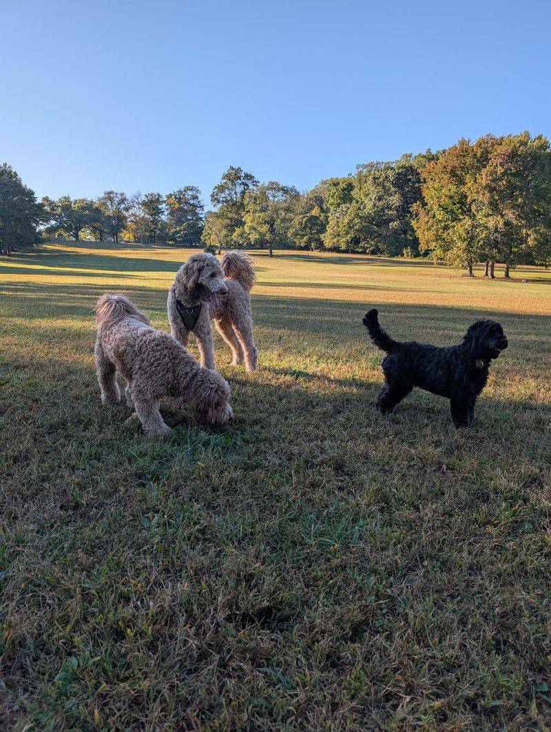 Rockford Park, Wilmington, New Castle County