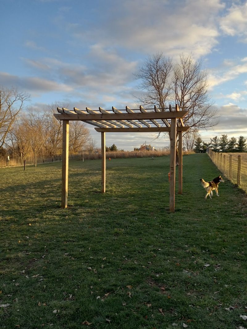 Mt. Vernon Dog Park - Mount Vernon