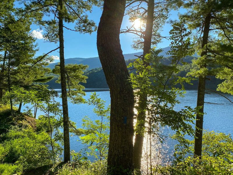 Hanging Rock at Douthat State Park in Millboro, Bath County