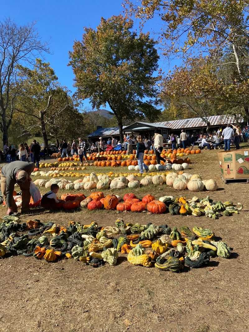 Graves Mountain Apple Harvest Festival - Syria