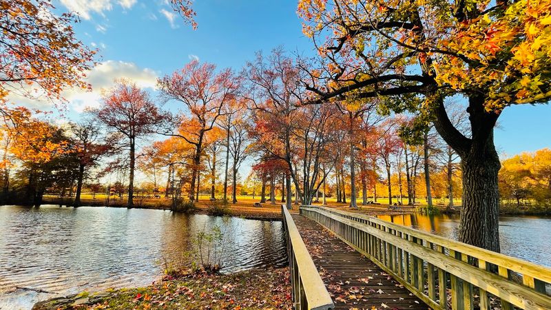 Pair Fall Leaves With Bellevue Hall