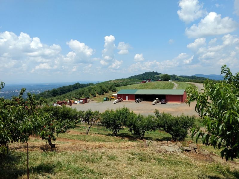 Plan Your Visit Before Heading Up the Mountain