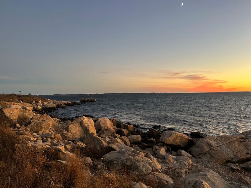 Pause Beside the Quiet Cove