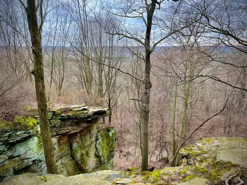 Whipps Ledges