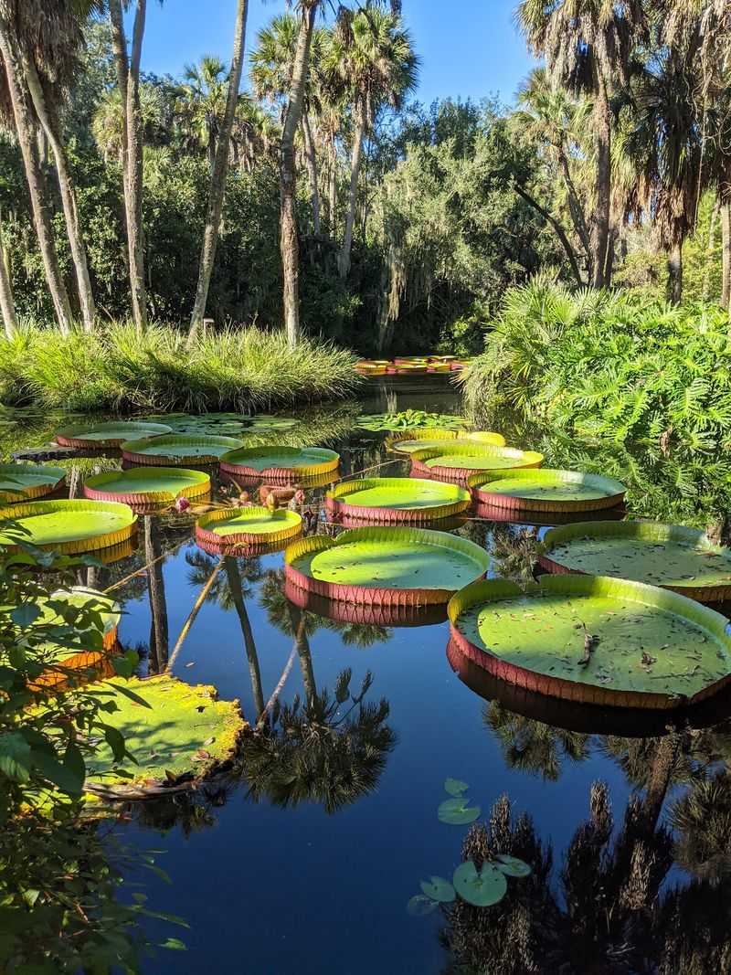 Bok Tower in Lake Wales, Polk County,