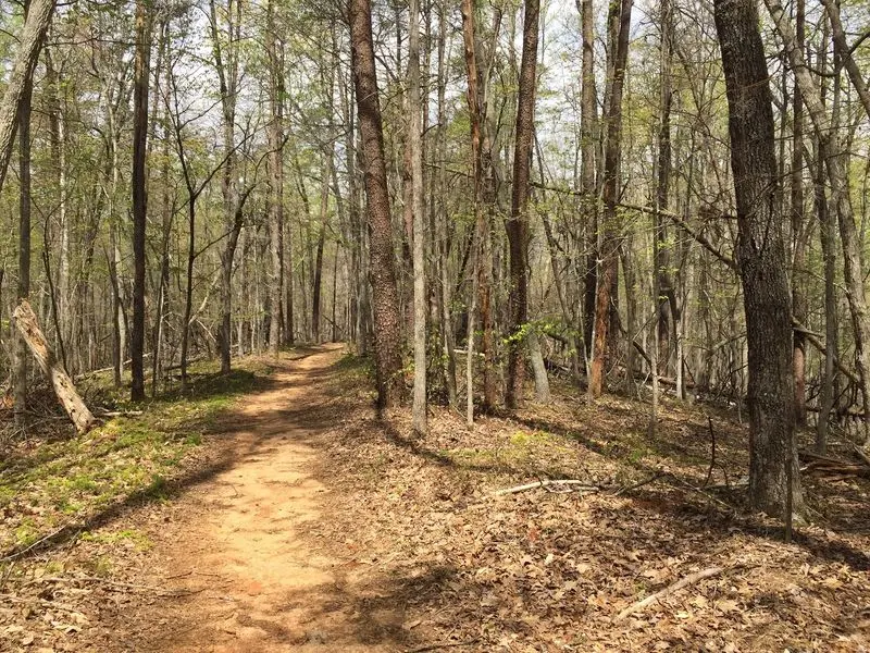 Smith Mountain Lake State Park