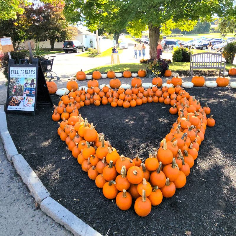 Pick Out Pumpkins and Soak Up the Fall Scenery