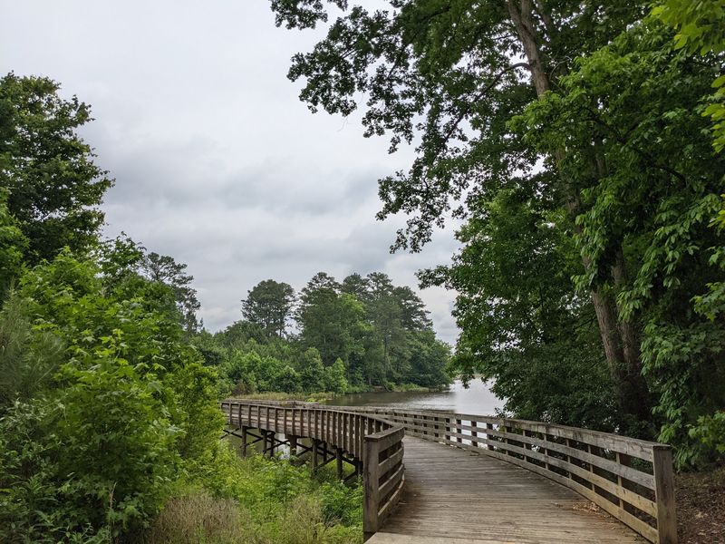 Panola Mountain State Park - Stockbridge