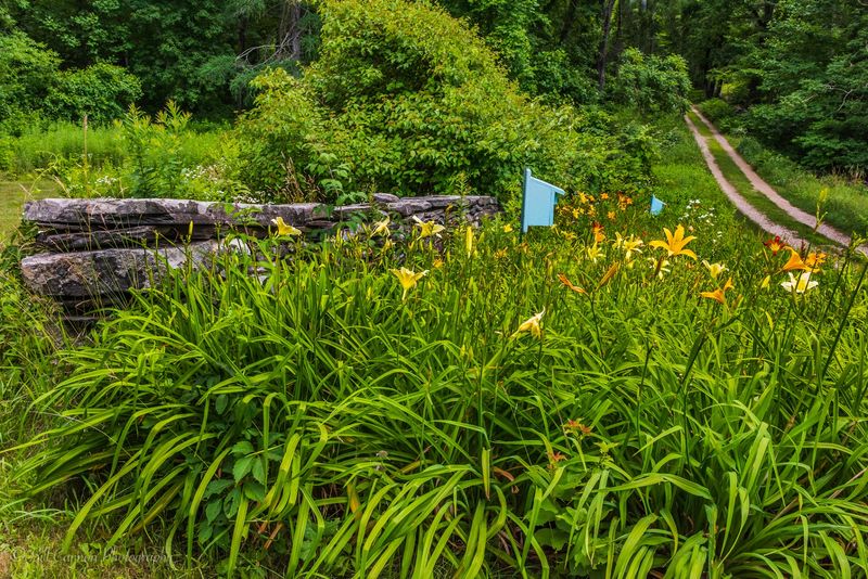 Trail Wood & The Edwin Way Teale Memorial Sanctuary - Hampton