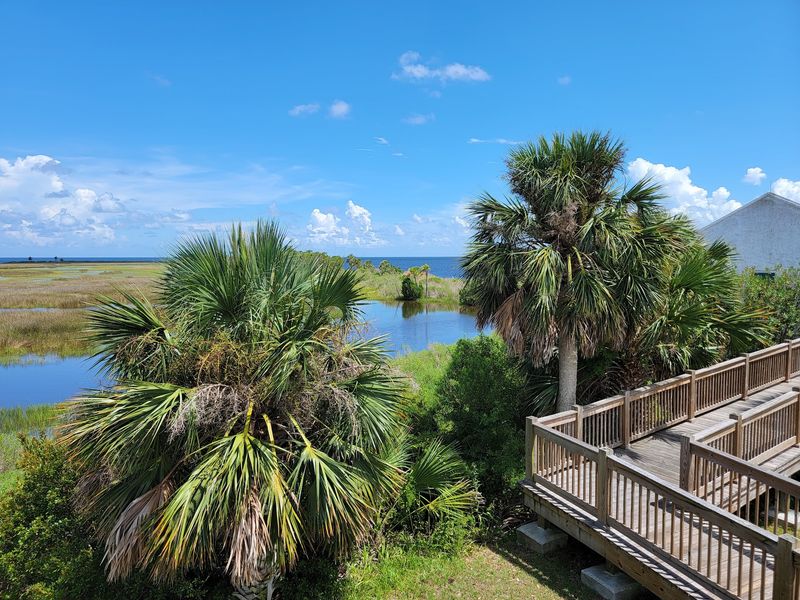 Apalachee Bay Views Worth The Drive