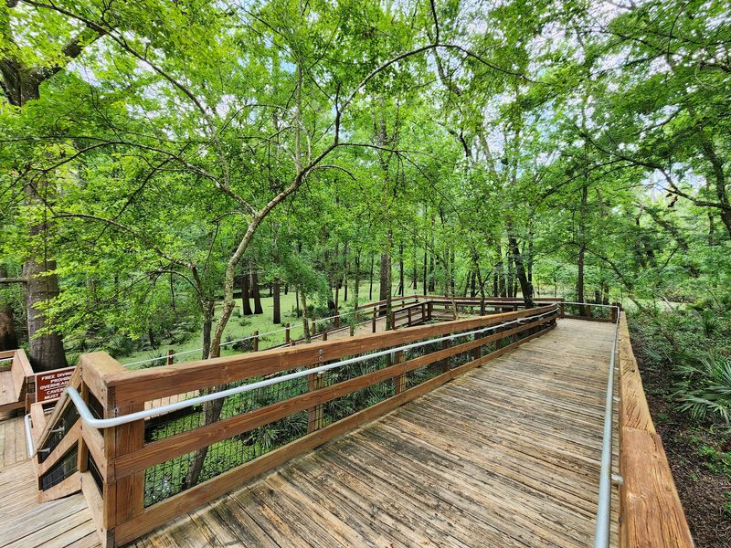 Trails, Sinkholes, and an Old Florida Walk