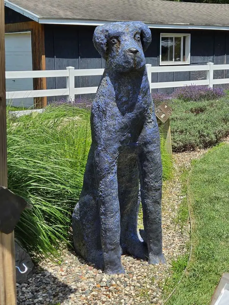Fennville, Allegan County, Farm Roads And Flavorful Finds